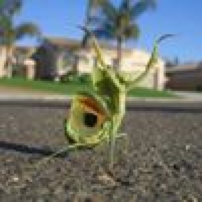 Petra zoekt een Appartement / Huurwoning in Rotterdam