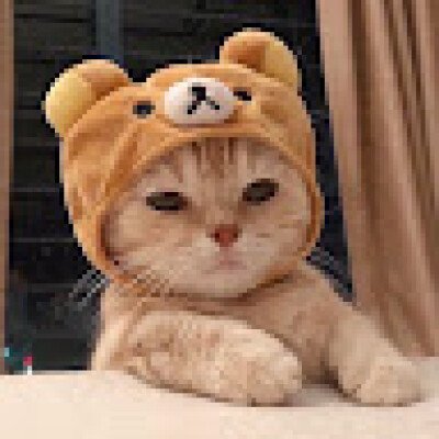 Emely zoekt een Appartement in Rotterdam