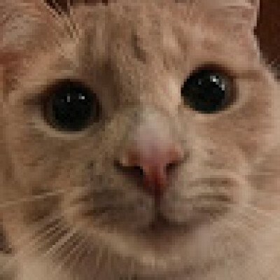 Luca  is looking for a Room / Studio / Apartment / Rental Property in Rotterdam