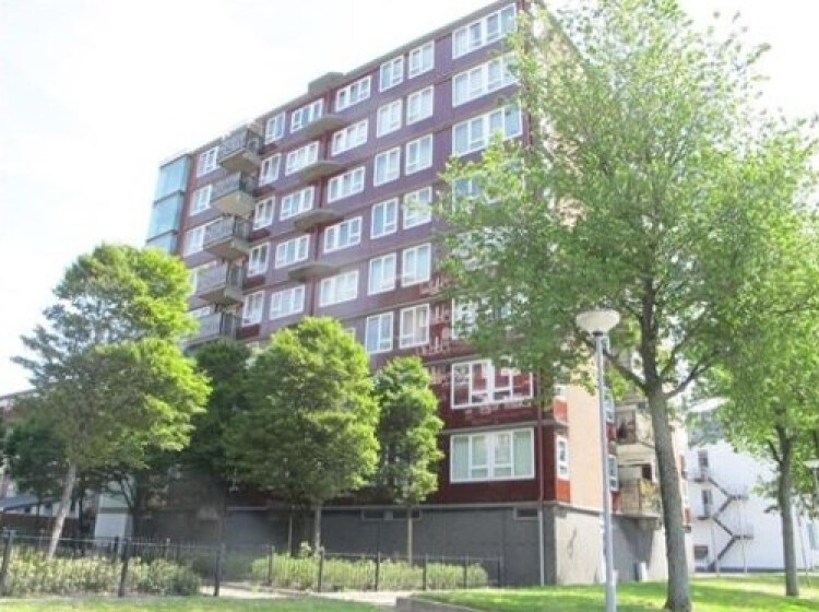 Baloeranstraat, Rotterdam