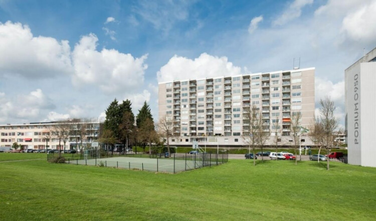 Buizenwerf, Rotterdam