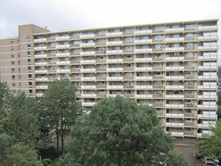 Dadeltuin, Rotterdam