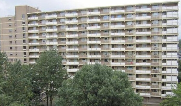Dadeltuin, Rotterdam