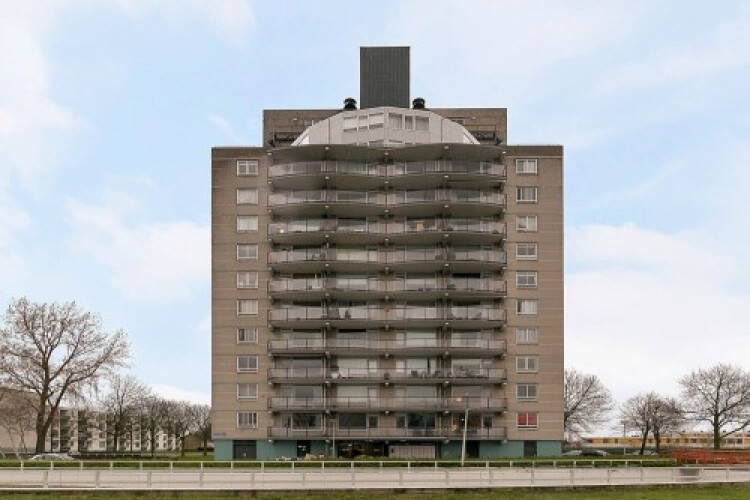 Den Uylsingel, Rotterdam