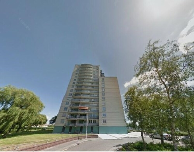 Den Uylsingel, Rotterdam