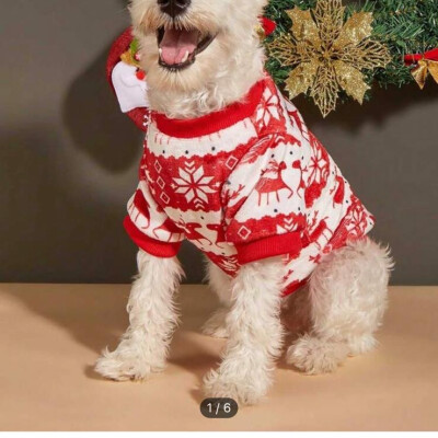 Tanisha zoekt een Studio in Rotterdam