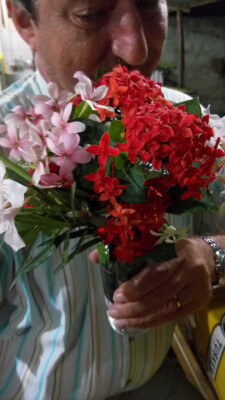Warda 
