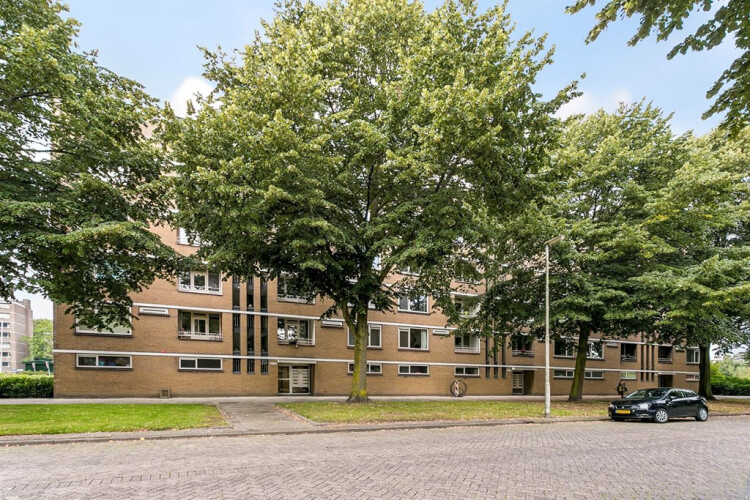 Jacob van Campenweg, Rotterdam