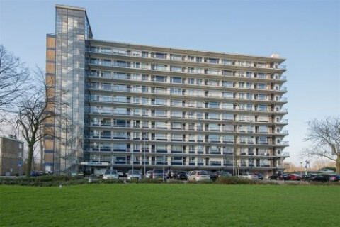 Jan Dammassestraat