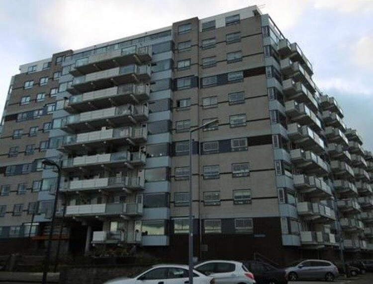 Koopvaardijhof, Rotterdam