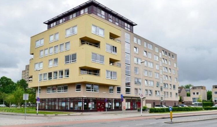 Lotustuin, Rotterdam