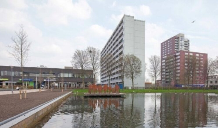 Plein 1953, Rotterdam