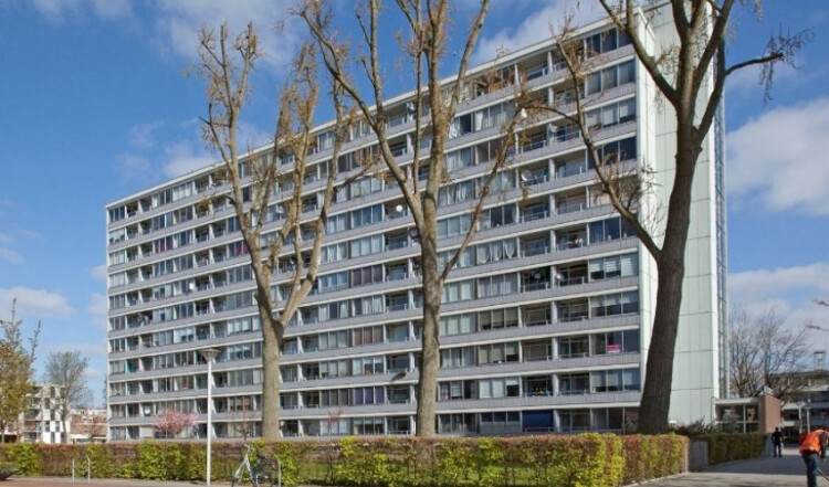 Plein 1953, Rotterdam