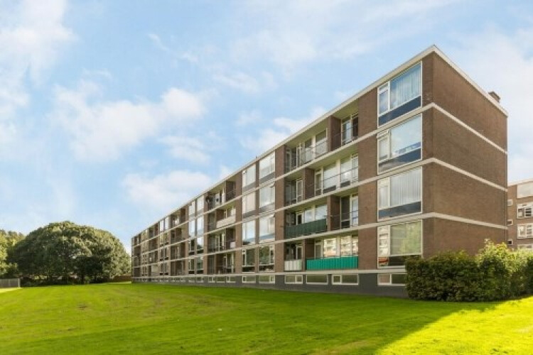Quadenoord, Rotterdam