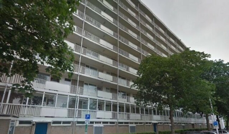 Suze Groeneweglaan, Rotterdam