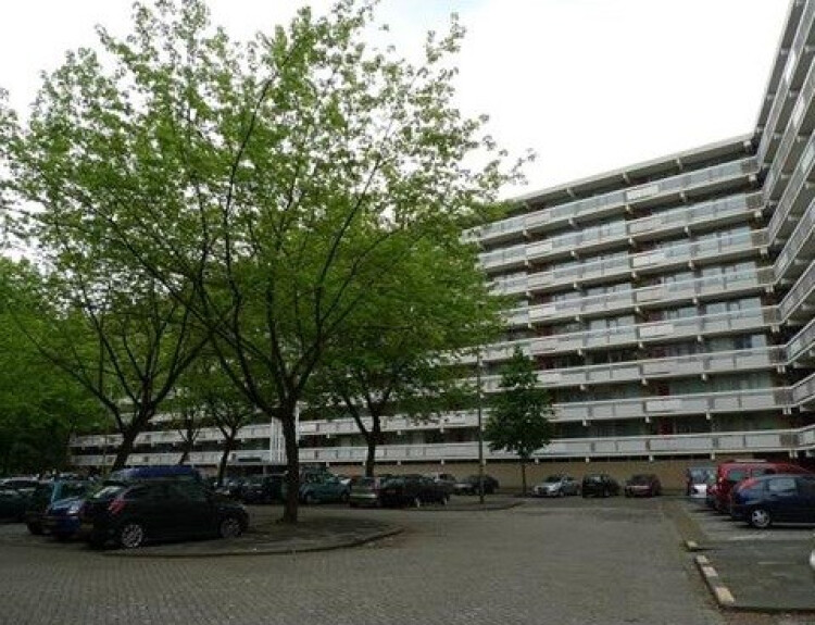Zernikeplaats, Rotterdam